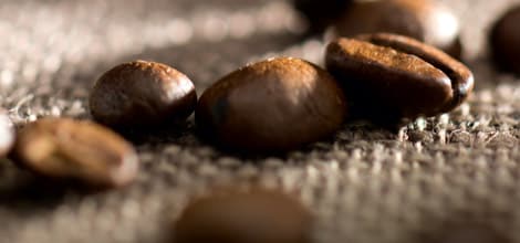 Der findes mere end 50 arter kaffe