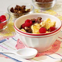 Hurtigt Tilberedt, Frossen Yoghurt: Mango | Philips