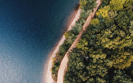 Et banner med en luftfoto af trætoppe og havet for at introducere Philips' bæredygtighedsplaner.