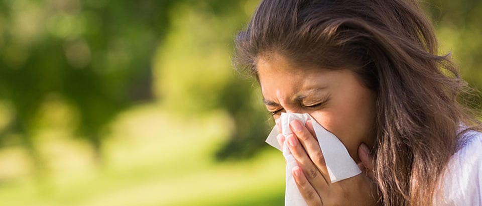 Allergener i hjemmet – pollentyper og hvornår de forekommer